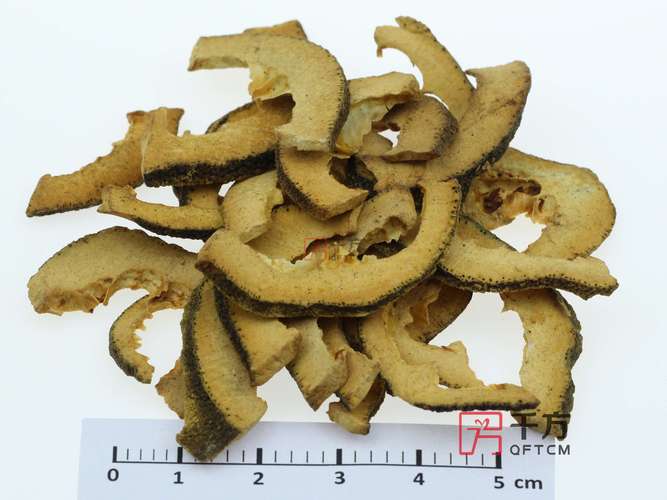 炒枳壳的功效与作用(炒枳壳的功效都有什么)