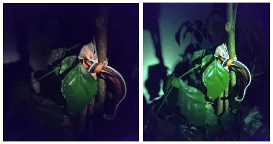 如何选购车灯灯泡（车灯手电选购车灯的五大误区）(2)