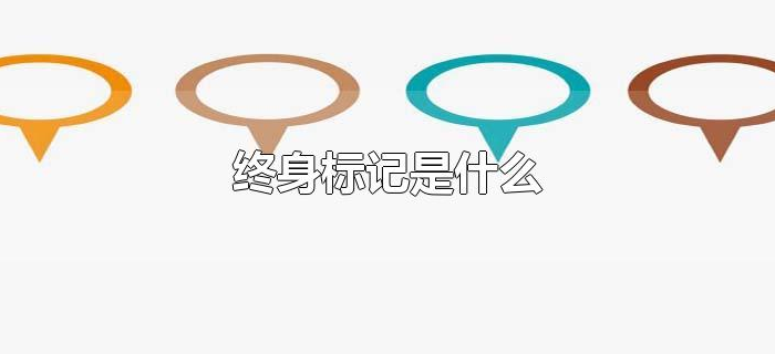 终身标记是什么