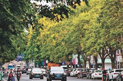 车险降保费最新方案 整体保费将下降8.6(3)