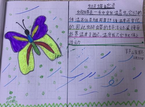 蝴蝶备忘录怎么写(蝴蝶备忘录写法)