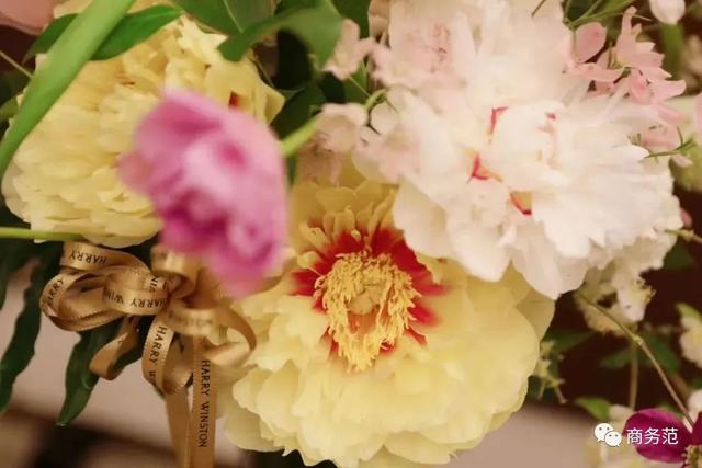 给新生宝宝买什么礼物好(新生宝宝礼物清单)(30)