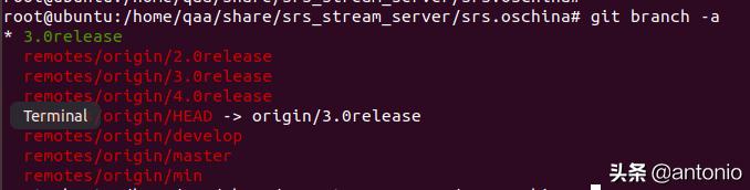 监控流媒体服务器配置(手把手搭建流媒体服务器详细步骤)(7)