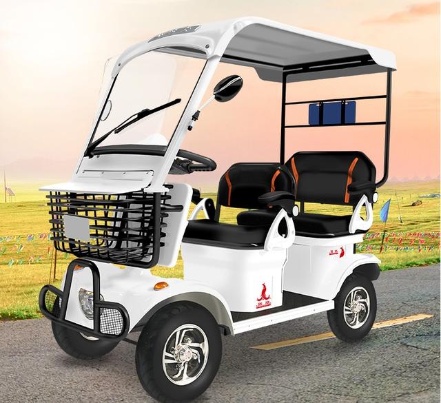 目前最时尚的老年四轮代步车(这3款四轮老年代步车)(5)