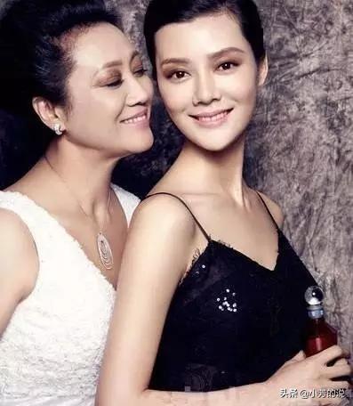 车晓什么时候离婚的(车晓成豪门弃妇后为何至今单身)(6)