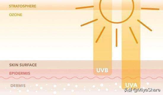 防晒霜红黑榜真人实测（ISDIN红榜第1适合全肤质）(1)