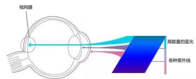 电脑防辐射防护屏(电子屏幕真的有危害吗)(10)