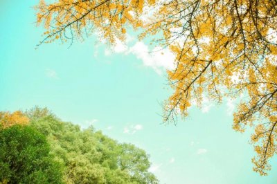 ​绝美古诗词欣赏（10首美到极致的千古绝句）