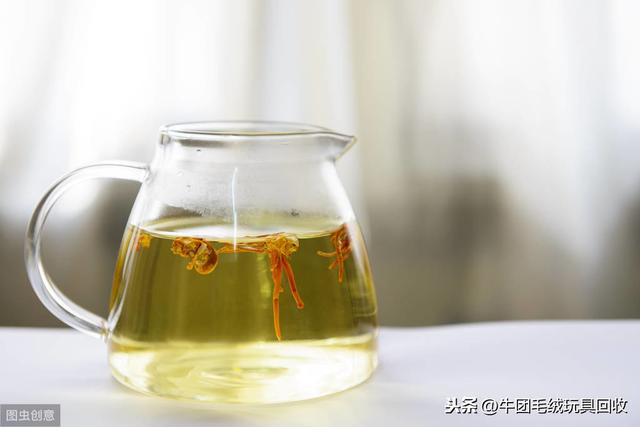 冬虫夏草都有什么样的(你真的了解它吗)(9)