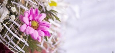 ​充满正能量阳光短句（充满阳光的经典句子）