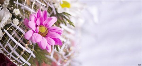 充满正能量阳光短句(充满阳光的经典句子)(1)