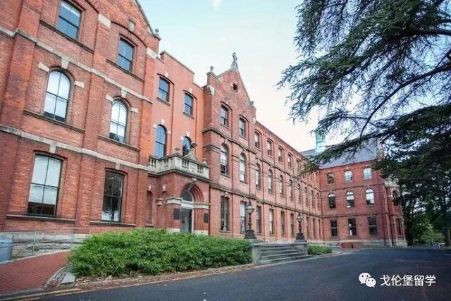 大学排名都柏林大学(都柏林大学致力于提供世界一流高等教育的欧洲顶尖名校)(2)