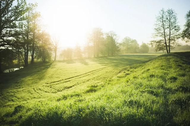 大学里的冷门专业有哪些(这些专业你们学校有吗)(10)