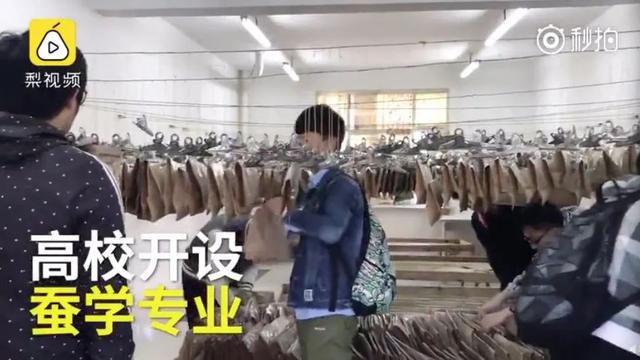 大学里的冷门专业有哪些(这些专业你们学校有吗)(8)