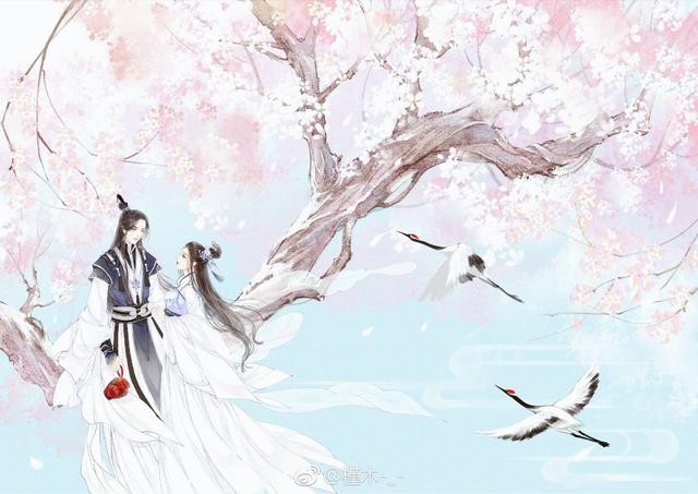 老书虫看了n遍的重生古言(你是我无论如何都不想错过的人)(4)