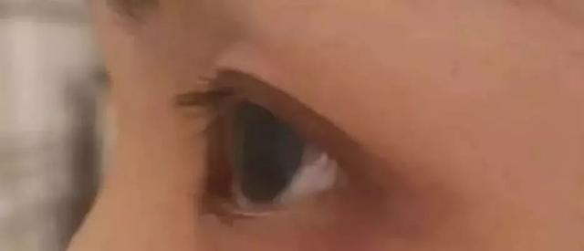 目前最有效的睫毛增长液（19.9元的睫毛增长液用了19天增长超明显）(6)