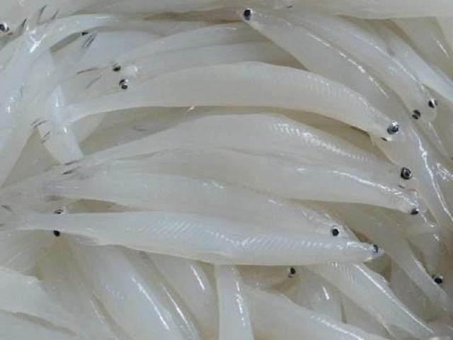 合肥十大最好吃的美食(最具代表性的6大合肥美食)(3)