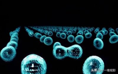 ​李连杰宇宙追缉令打斗（宇宙通缉令多元宇宙对阵）