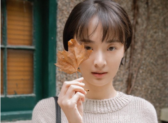 网络图片(侵删)