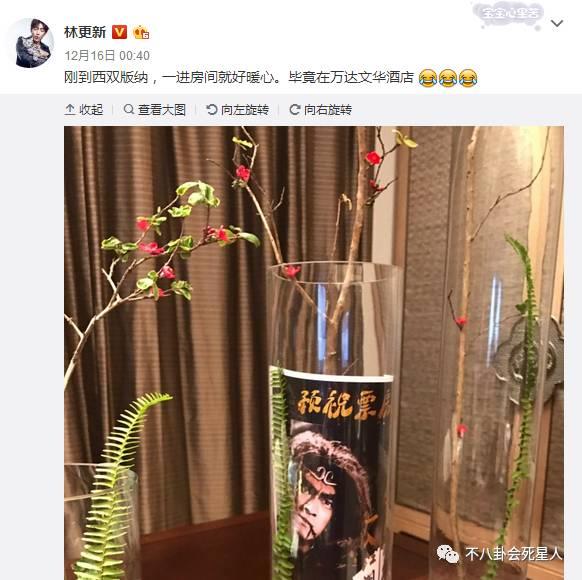 王思聪和林更新最近情况（王思聪回应与林更新关系）(18)