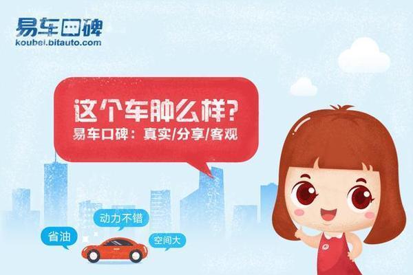 菲亚特菲翔大保养费用(菲翔五年用车分享)(27)