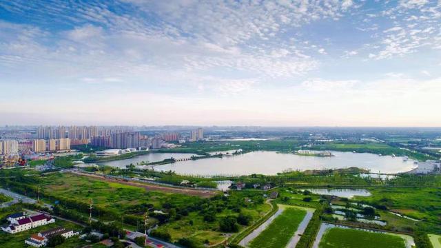 油车港今后的发展（油车港经济社会发展）(5)