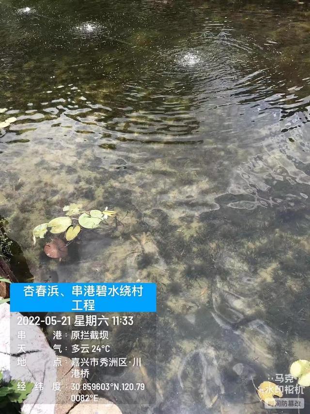 油车港今后的发展（油车港经济社会发展）(4)