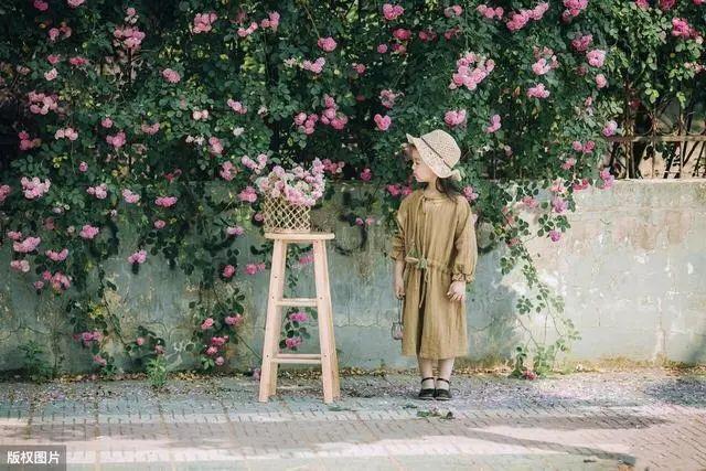 花钟里有什么花分别在几点开（看看哪朵花开了就知道）(10)