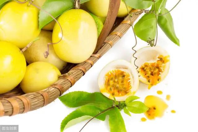 花钟里有什么花分别在几点开（看看哪朵花开了就知道）(69)