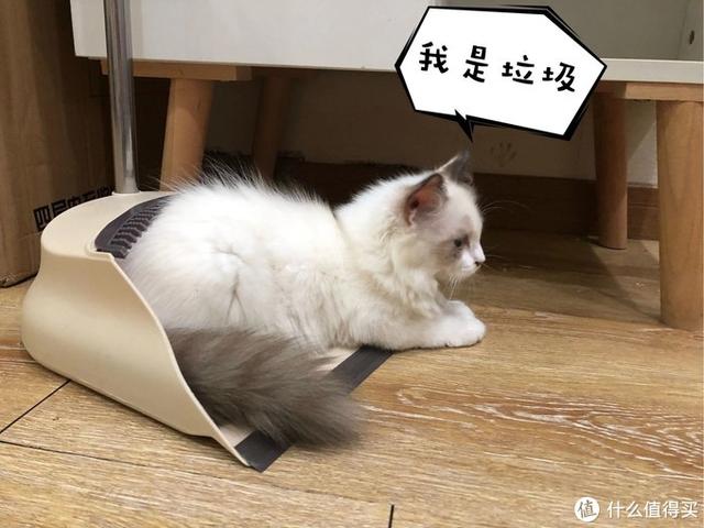 健身环大冒险通关技巧(健身环大冒险8个月真实经验分享)(9)