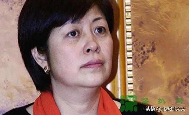 华谊高层刘韬履历(一个让华谊又爱又恨的)(19)