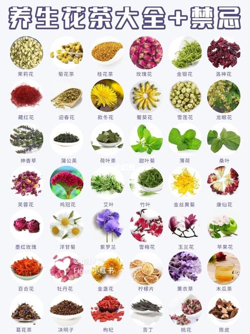 花茶有哪些排名前十的花茶(75种常见花茶的功效)