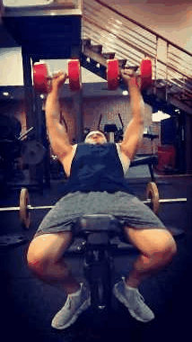 健身房健身减脂计划（新手以减脂为目的健身）(18)