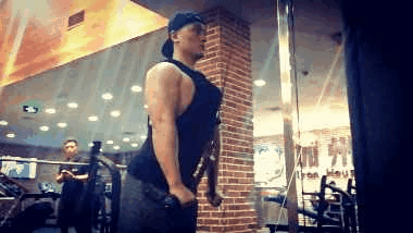 健身房健身减脂计划（新手以减脂为目的健身）(27)