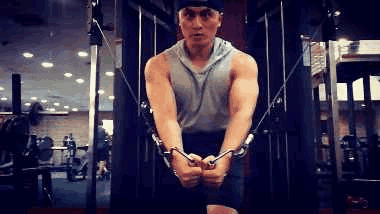 健身房健身减脂计划（新手以减脂为目的健身）(19)