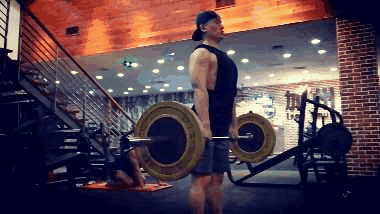 健身房健身减脂计划（新手以减脂为目的健身）(31)