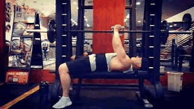 健身房健身减脂计划（新手以减脂为目的健身）(22)