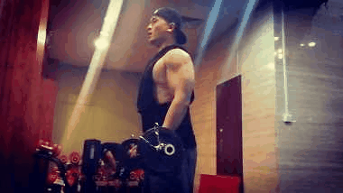 健身房健身减脂计划（新手以减脂为目的健身）(24)