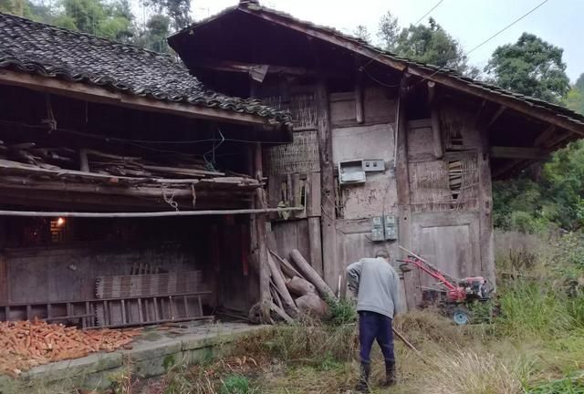 白日放歌须纵酒的下一句,白日放歌须纵酒,的下一句是?图2