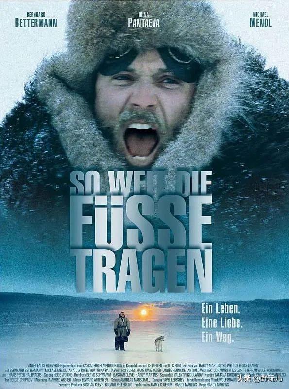 十大丛林探险电影(8部户外探险电影)(4)