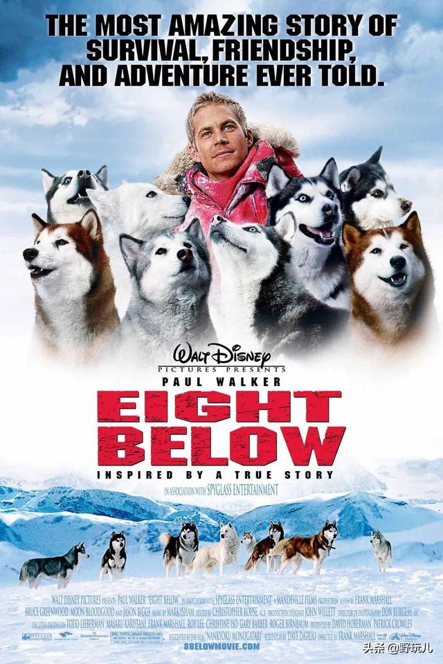 十大丛林探险电影(8部户外探险电影)(3)