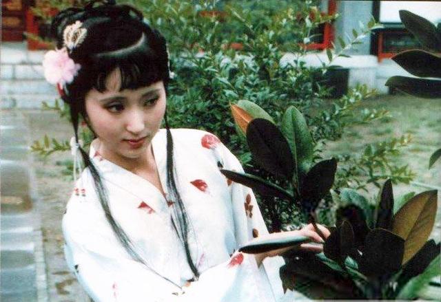 红楼梦薛蟠进京的原因(红楼梦里薛蟠为何要折腾两三年)(2)