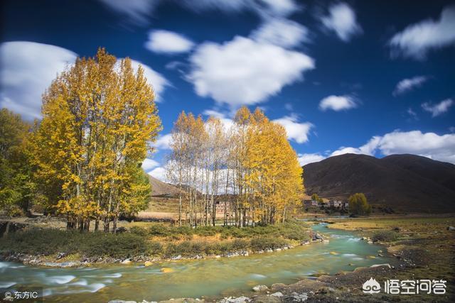 川藏线租车自驾所有费用(川藏线租车10天花费5万左右)(4)