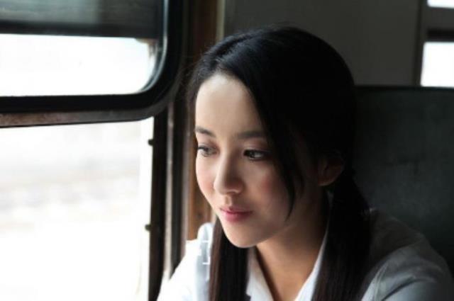 佟丽娅电视剧大全(佟丽娅的28部影视剧)(13)