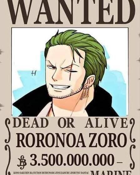 海贼王路飞十档形态（海迷自制草帽一伙最终赏金令）(3)