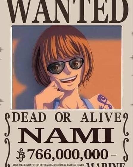 海贼王路飞十档形态（海迷自制草帽一伙最终赏金令）(4)