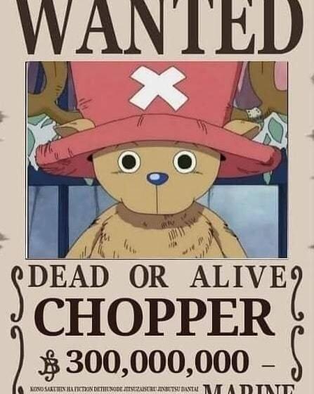 海贼王路飞十档形态（海迷自制草帽一伙最终赏金令）(6)