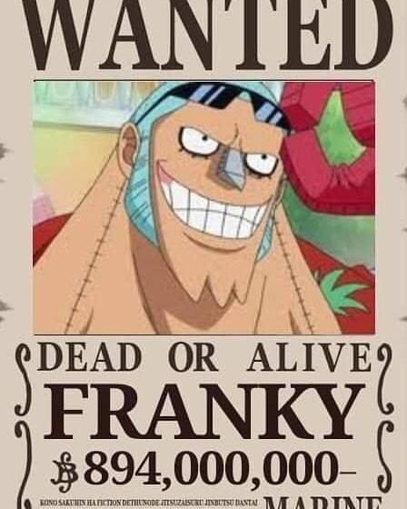 海贼王路飞十档形态（海迷自制草帽一伙最终赏金令）(9)