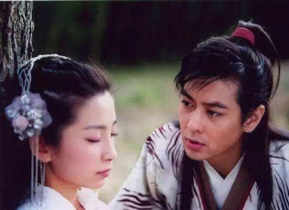 林志颖拍的电视剧大全集（不老男神林志颖的20部影视剧）(12)