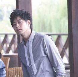 林志颖拍的电视剧大全集（不老男神林志颖的20部影视剧）(15)